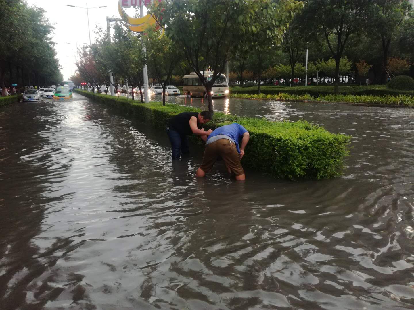 西安不朽情缘集团