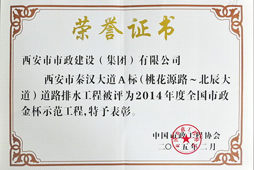 天下不朽情缘金杯树模工程-秦汉大道