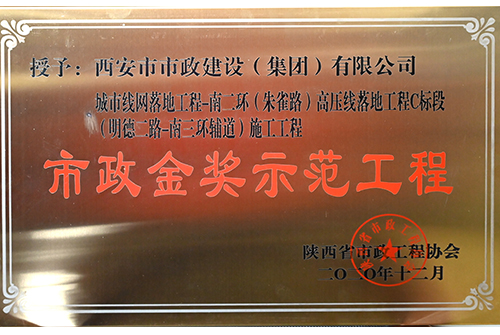不朽情缘金奖树模工程，，，，，，，，朱雀路高压线落地