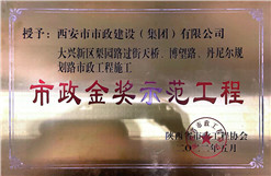 不朽情缘金奖树模工程