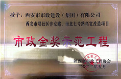 不朽情缘金奖树模工程