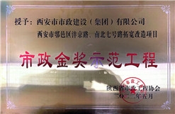 不朽情缘金奖树模工程
